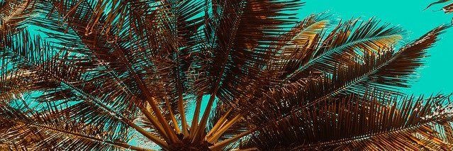 لينة الشعلان's banner