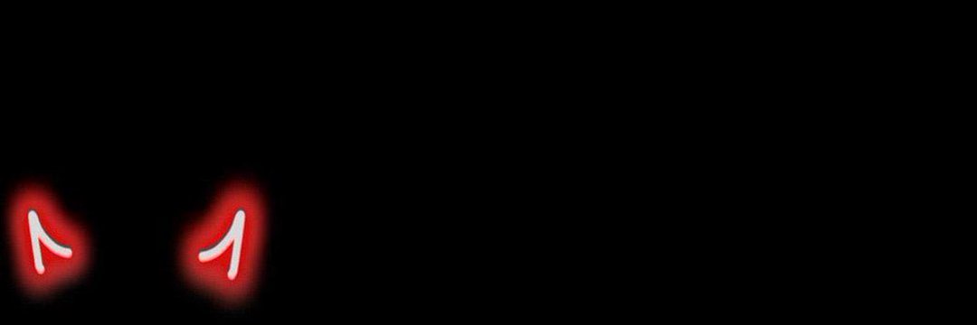 nael's banner