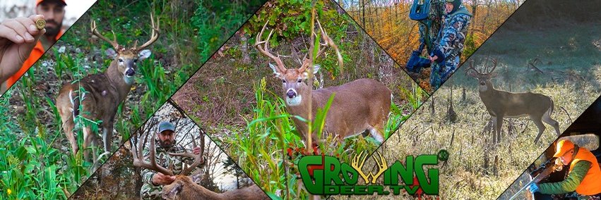 GrowingDeer.tv's banner
