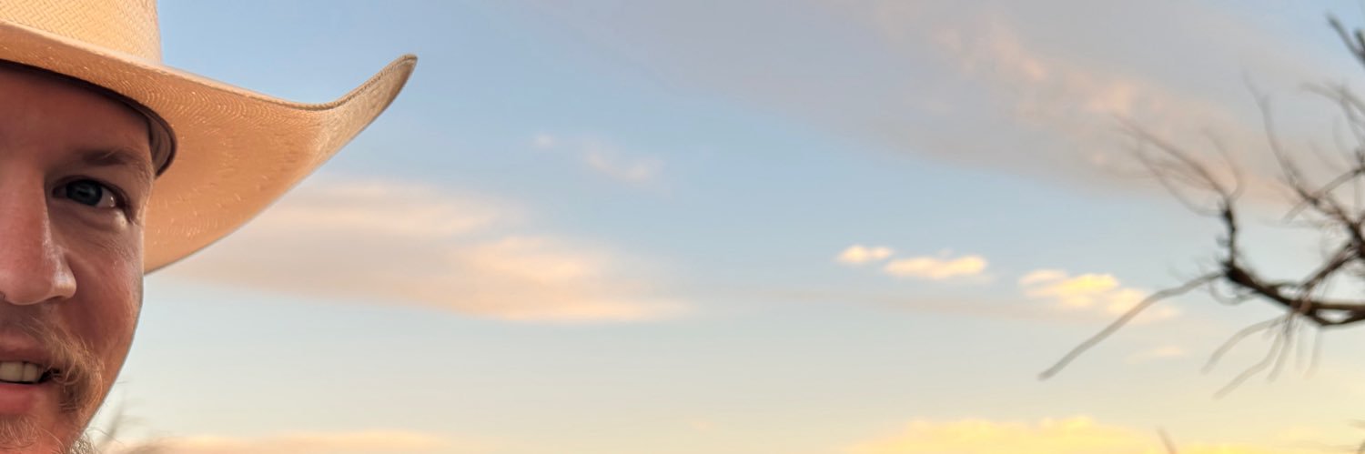 The Cowboy’s Ghost's banner