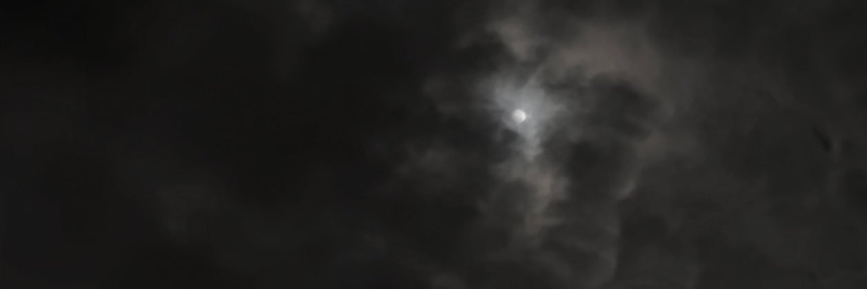 Lacey Jae's banner