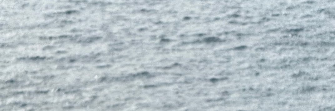 noe 🥀's banner