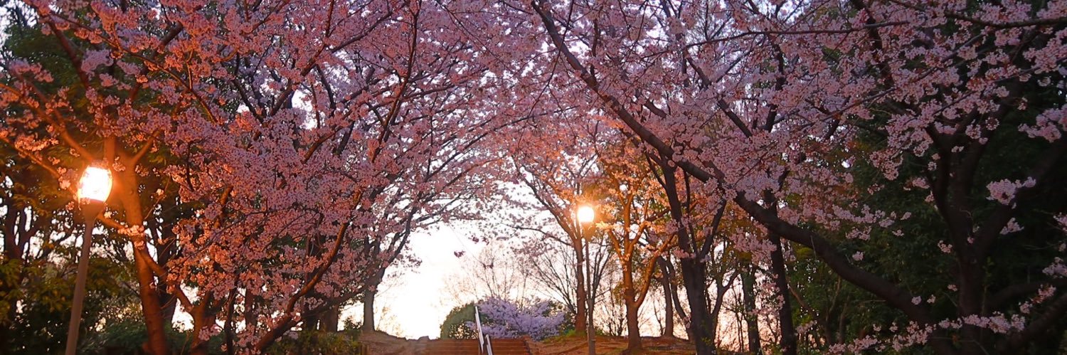 日本城's banner