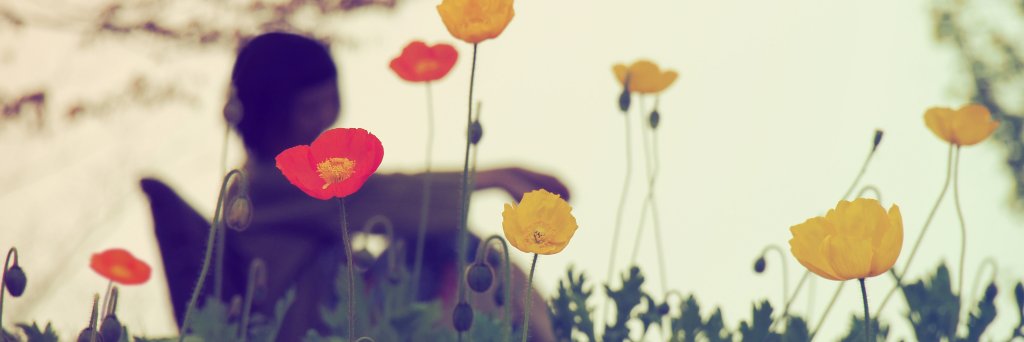 さちかぜあきの's banner