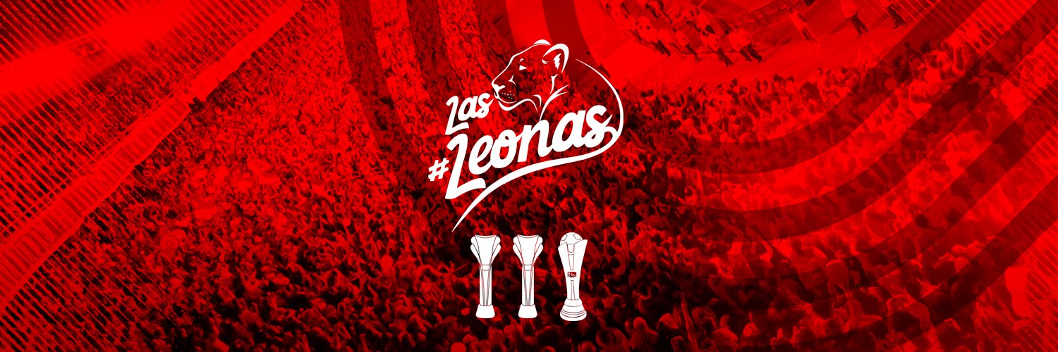 Santa Fe Femenino's banner