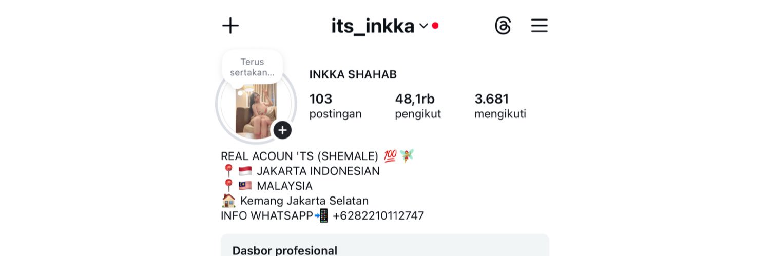 TS _Inkka saiqqa's banner