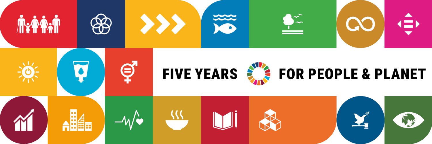 UN Sustainable Development Group 🇺🇳's banner