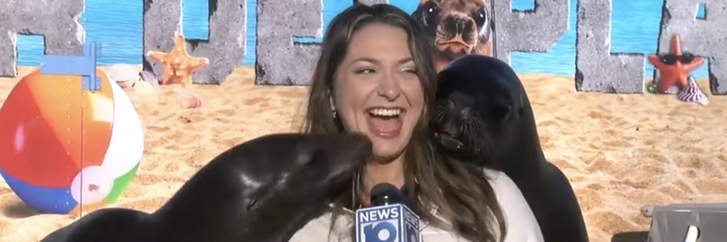 Giuliana Bruno's banner