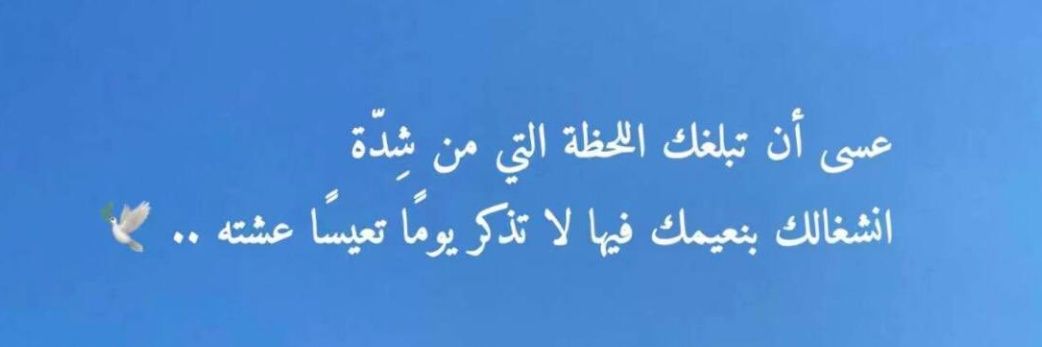 ناجي اﻷنصاري's banner