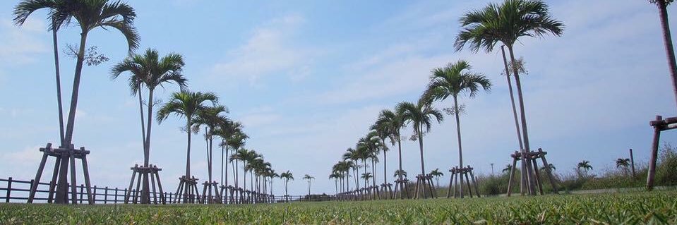 沖縄グルメちゃんねる🌺🌴's banner
