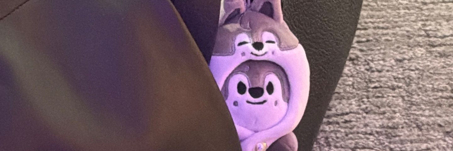 P 파울라 & That ✨🧸🪭🍊🏴‍☠️'s banner