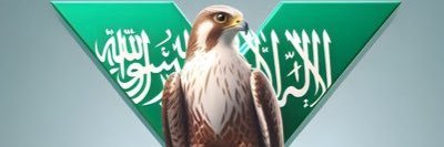 مشاكس أسهم's banner