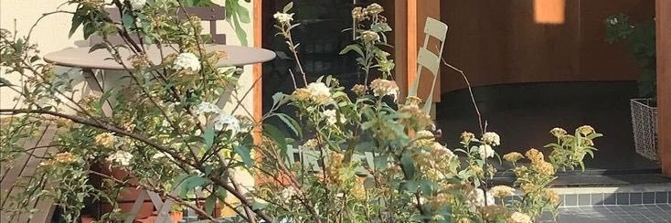 val 💐's banner