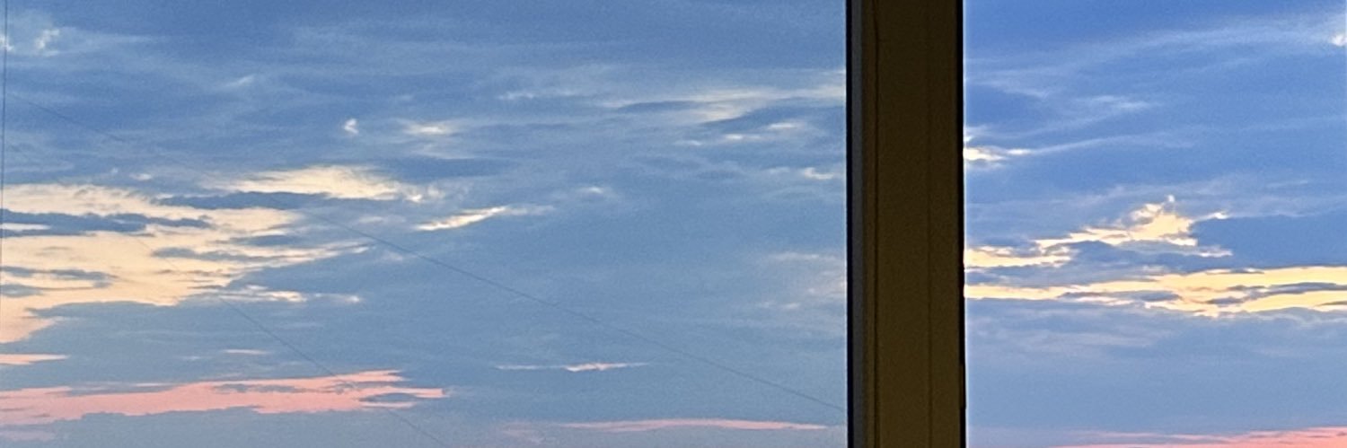 anicka⋆˙⟡'s banner