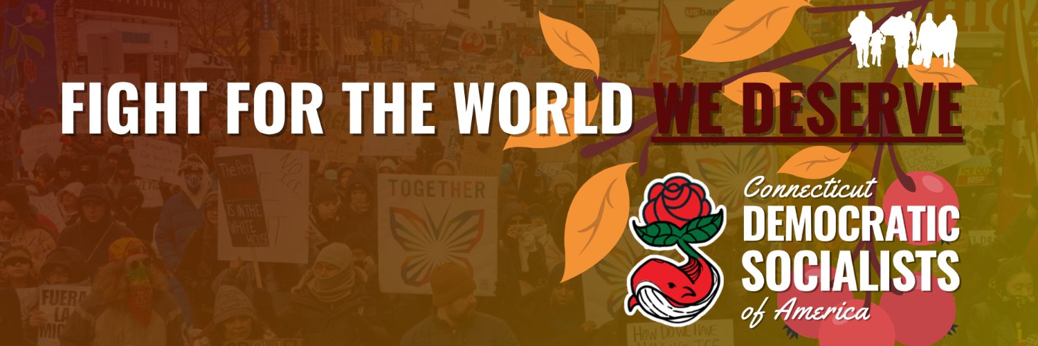 Connecticut DSA 🌹🐳's banner