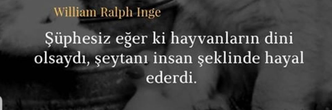 🇹🇷 Aslı 🇹🇷's banner