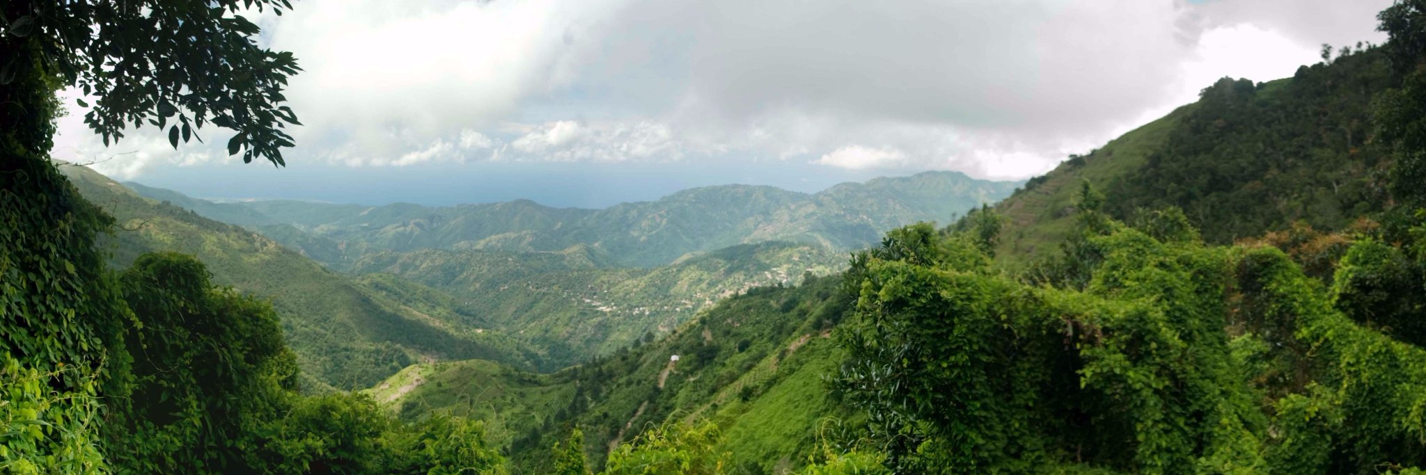 MetServiceJA's banner
