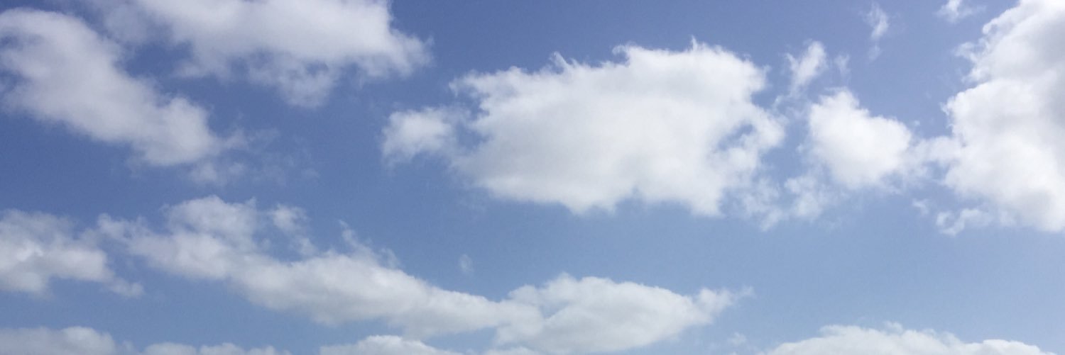 Brunella C.'s banner