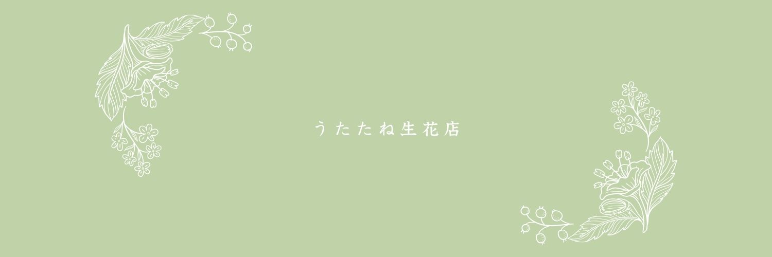 転寝こより💐's banner