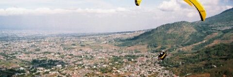 info batu-malang's banner