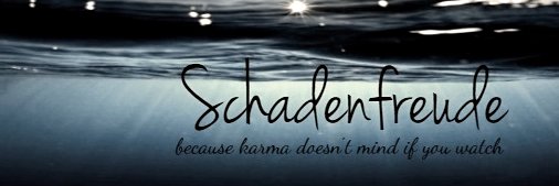 bö·se scha·den·freu·de 's banner