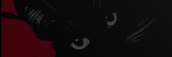 Ona.'s banner