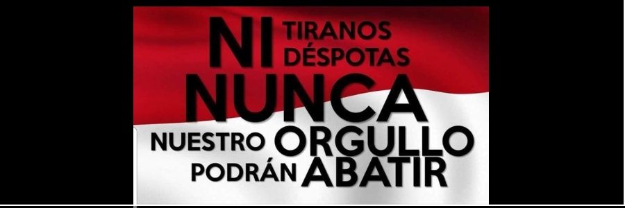 Luciana Campero's banner
