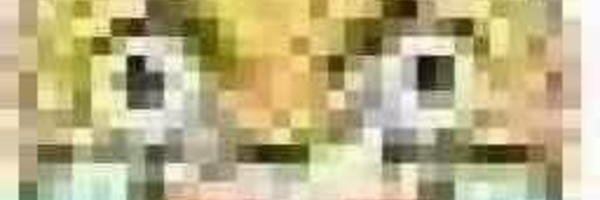SBXN 🔞's banner