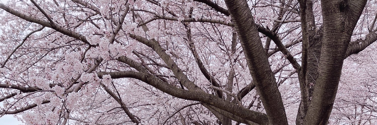ペイトン尚未's banner