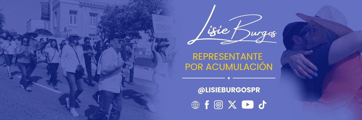 Lisie J Burgos's banner