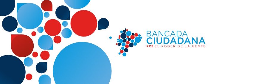Patricia Nuñez Ch's banner