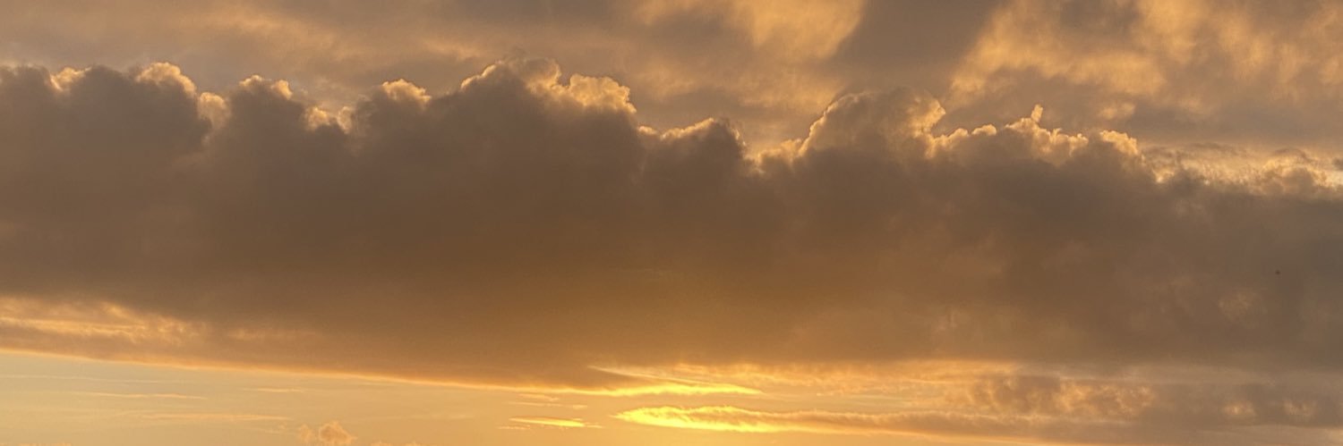 em 💀🌮's banner