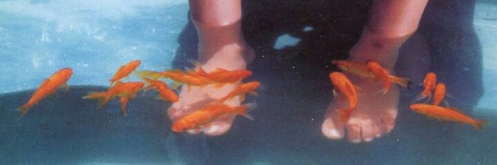 فاطمه رایگانی's banner