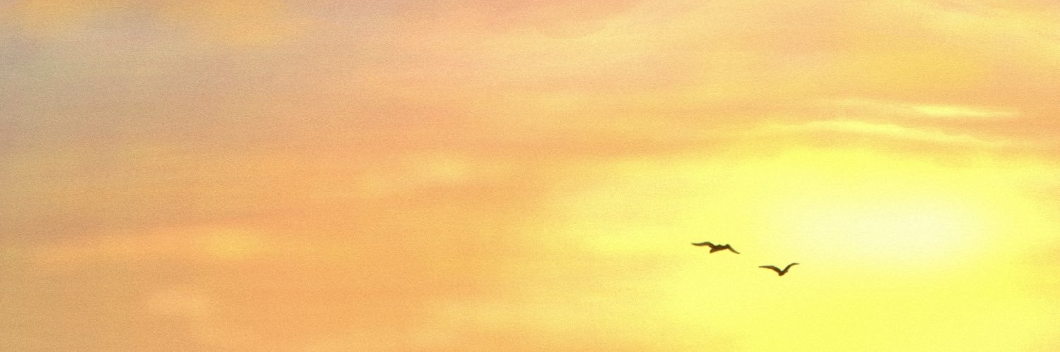 river🕊️'s banner