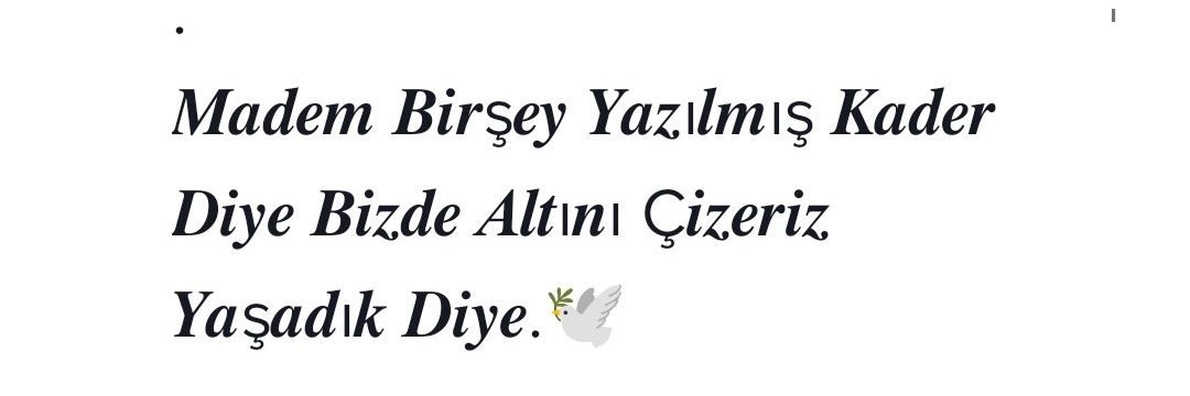 Mehmet Ayşe's banner
