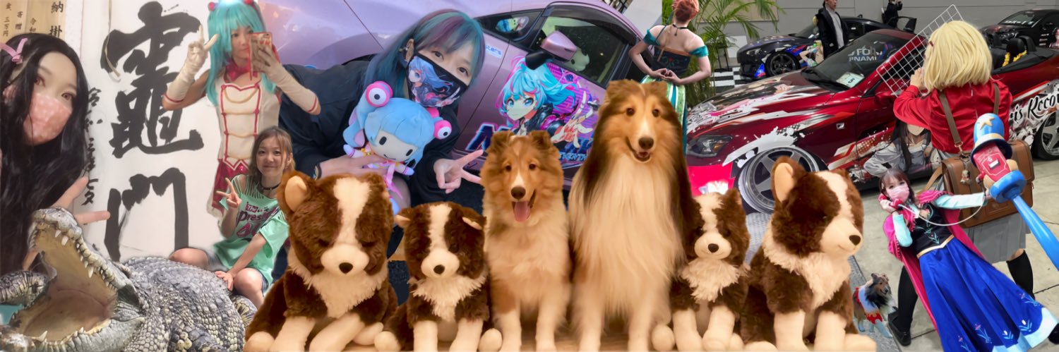 くぅ's banner
