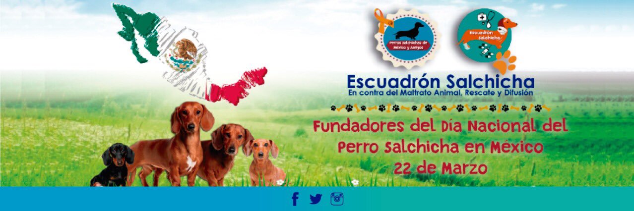 Escuadrón Salchicha's banner