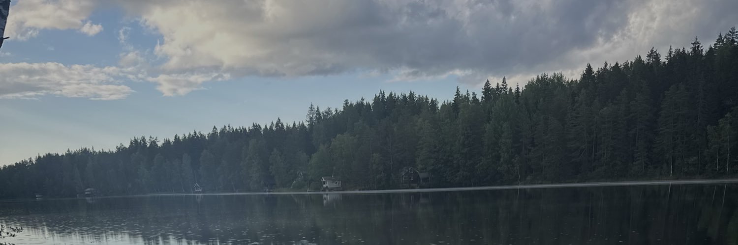 Mika Aaltola's banner