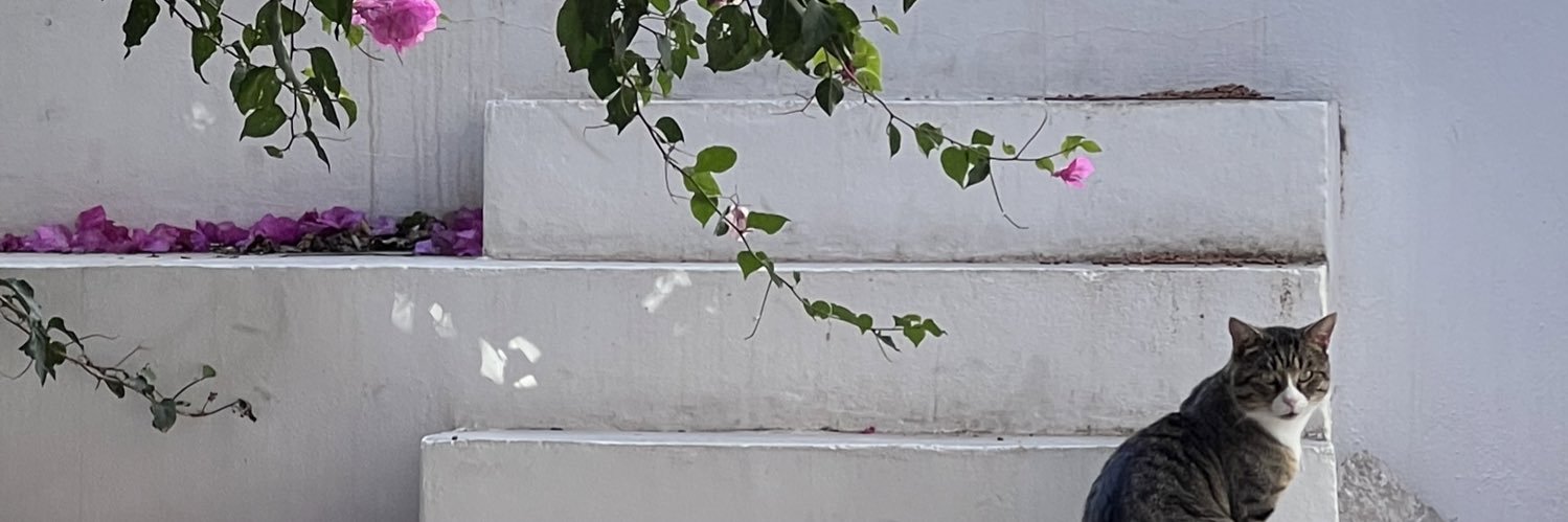 sophia blair's banner