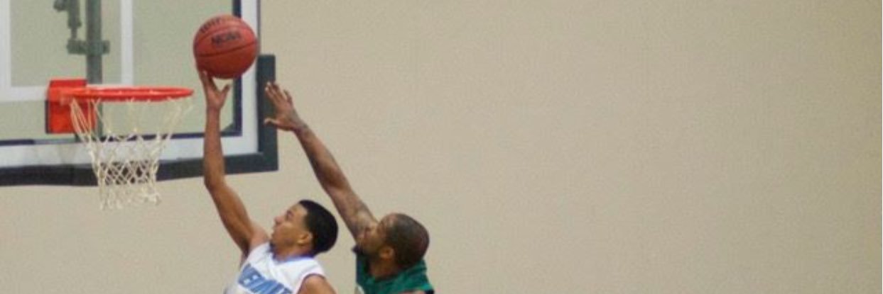 🐻BEAR🐻's banner
