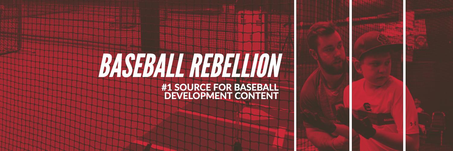 Baseball Rebellion's banner