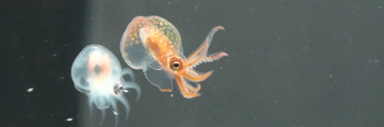越前松島水族館's banner