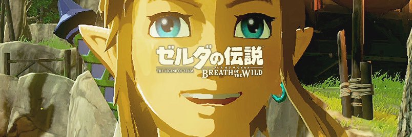 ハンク/ ゼルダ研究所's banner