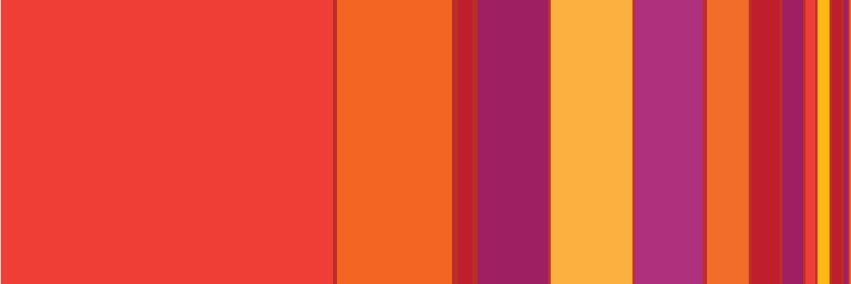 Chris Kost's banner