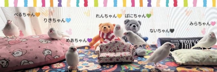 ゆみぴよ's banner