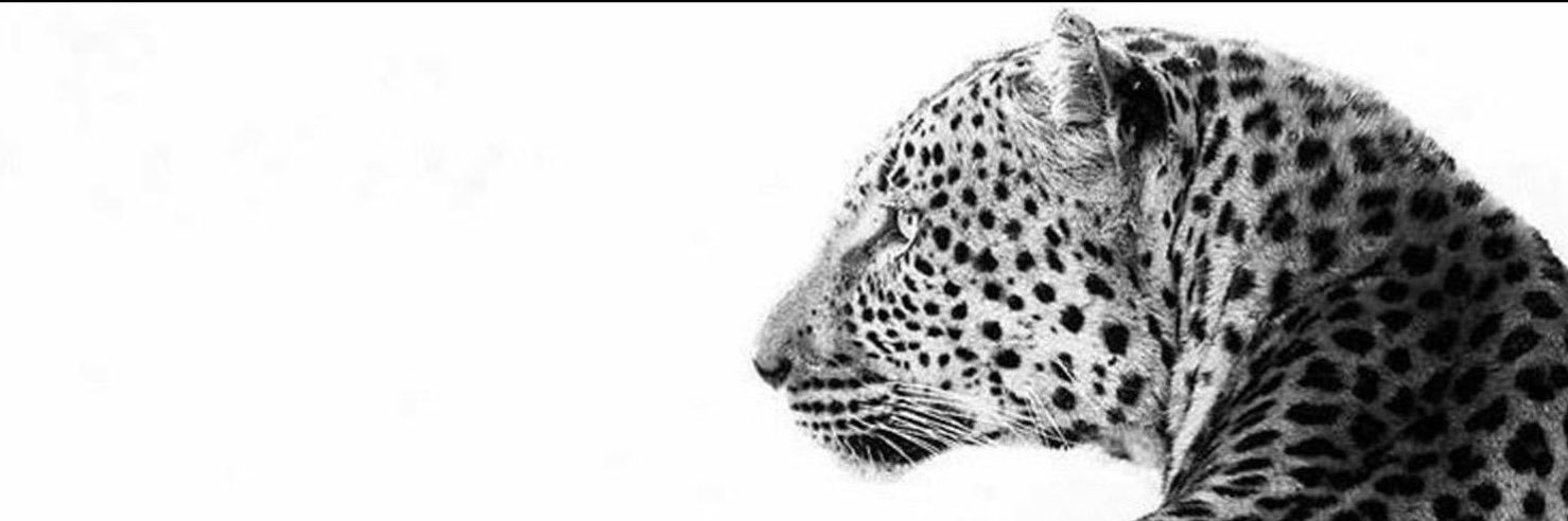 𝒜's banner