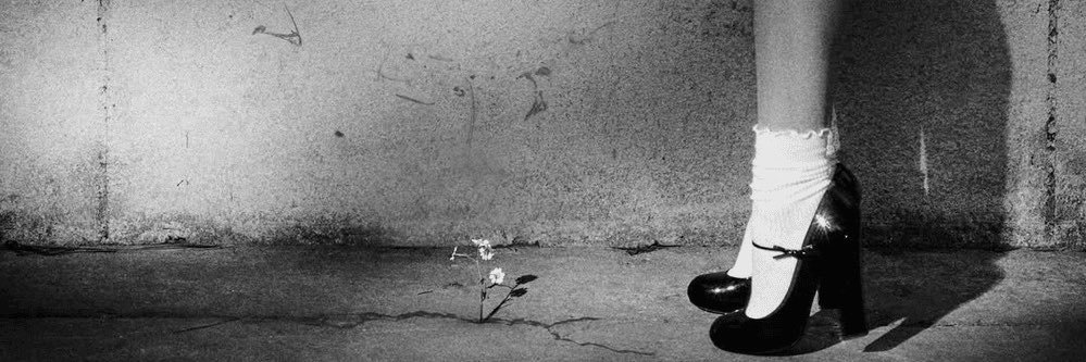 FKJRO⁺'s banner