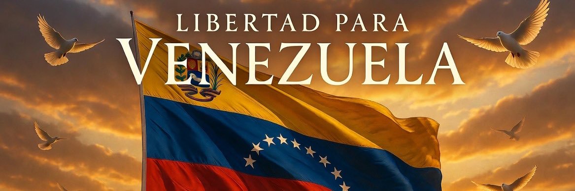 Vzla Indomable's banner
