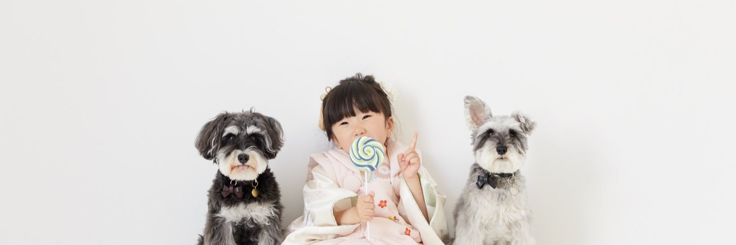 jiji&toto | シュナウザージジトト's banner