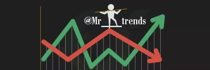 Mr. Trends's banner